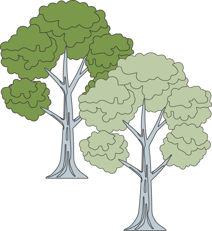 木オブジェクト